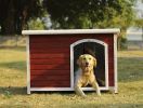 Wooden Dog Houses Weatherproof for Large