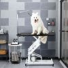 Hydraulic Dog Pet Grooming Table Heavy Duty Big Size Z-Lift