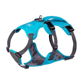 Pet Harness Dog Hand Holding Rope (Option: Blue-XXS)